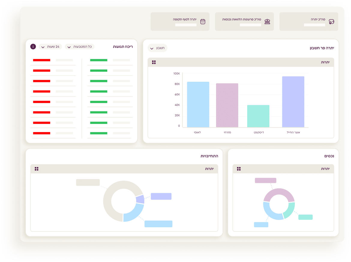 מבט כולל על נכסי והתחייבויות הארגון