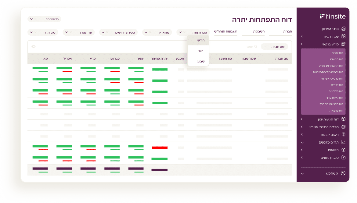 דוח התפתחות יתרה