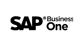 יבוא דפי בנק לסאפ ביזנס וואן SAP Business One