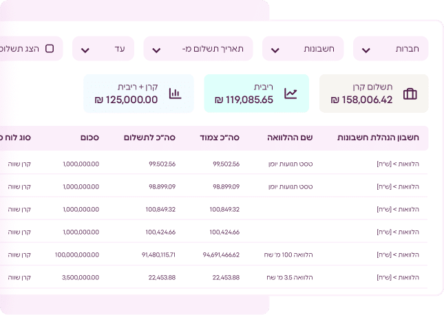 תוכנה לניהול הלוואות