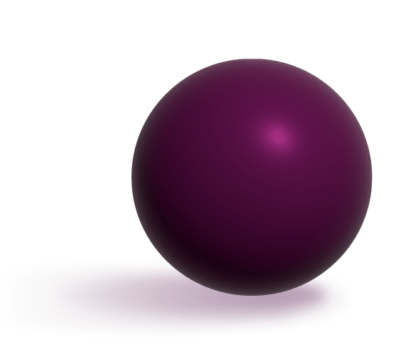 כל מה שרציתם לדעת