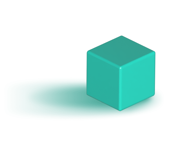 כל מה שרציתם לדעת